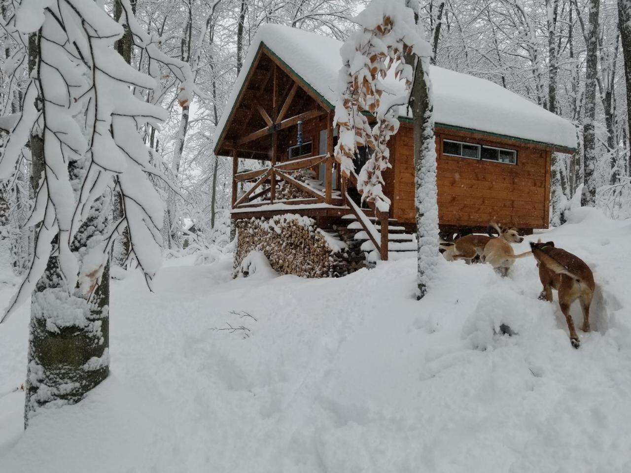 Les Cabines Nordik Des Piles Villa Saint-Jean-des Piles Eksteriør billede