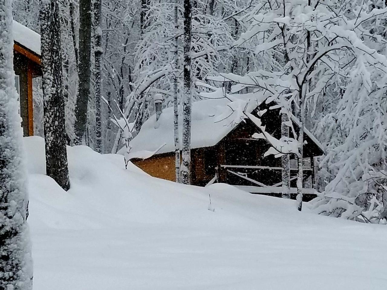 Les Cabines Nordik Des Piles Villa Saint-Jean-des Piles Eksteriør billede
